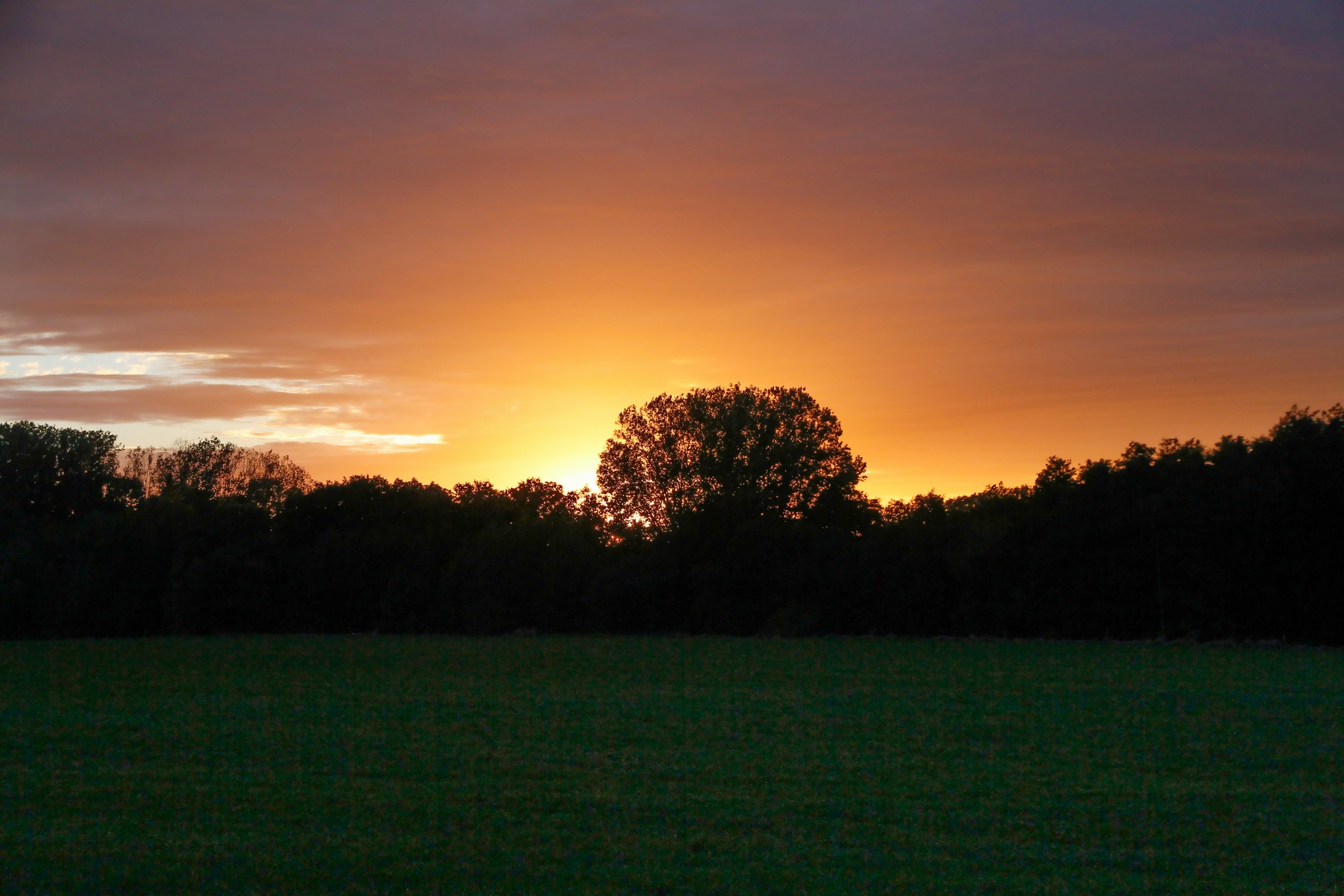 2510-Avondzon-Verbetering