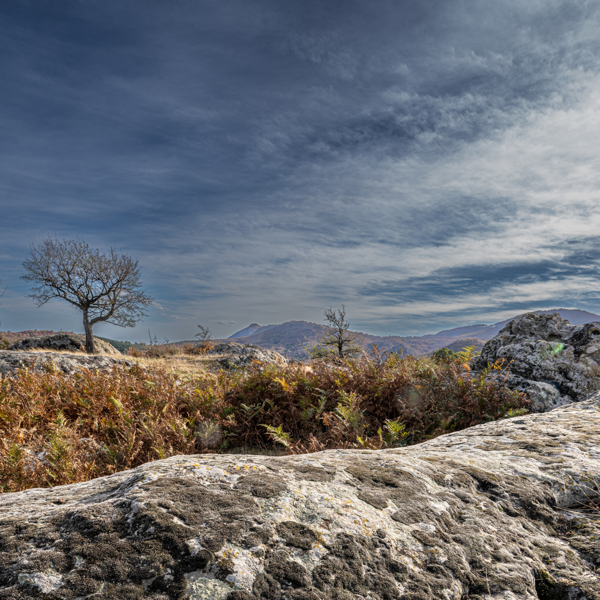 38-2311-stonescape.jpg